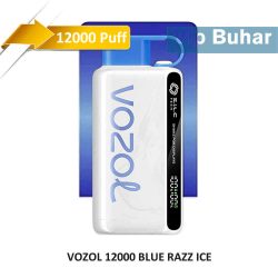 vozol 12000 blue razz ice, vozol, vozol 12000 puff