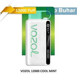 vozol 12000 cool mint, vozol, vozol 12000 puff