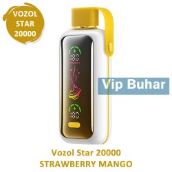 Vozol Strawberry Mango Star 20000 20K Puff